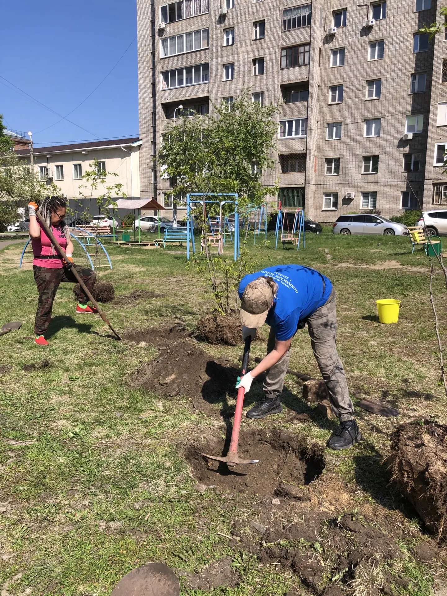 ул. 60 лет Октября 26а посадка деревьев изображение 1