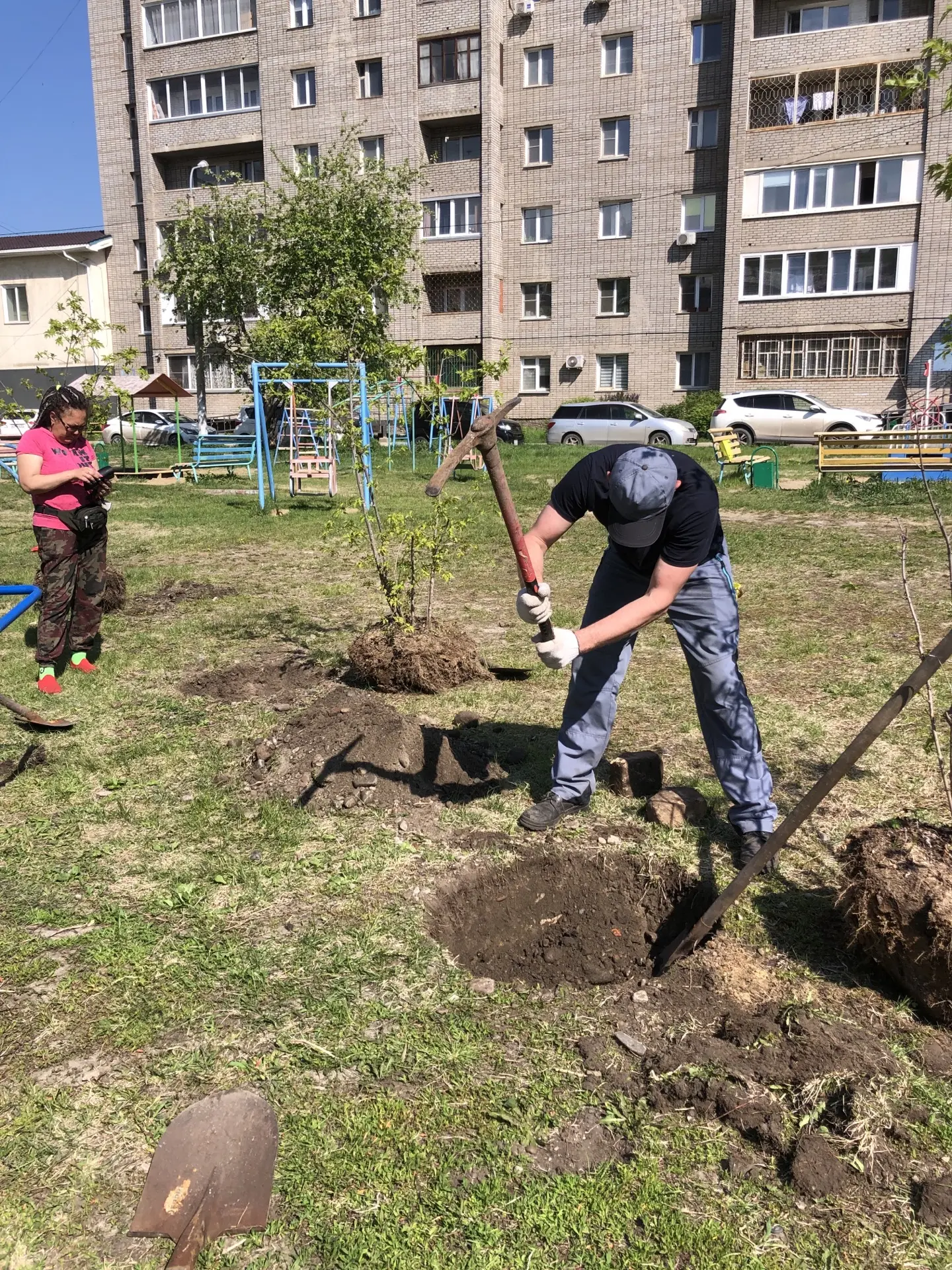 ул. 60 лет Октября 26а посадка деревьев изображение 1