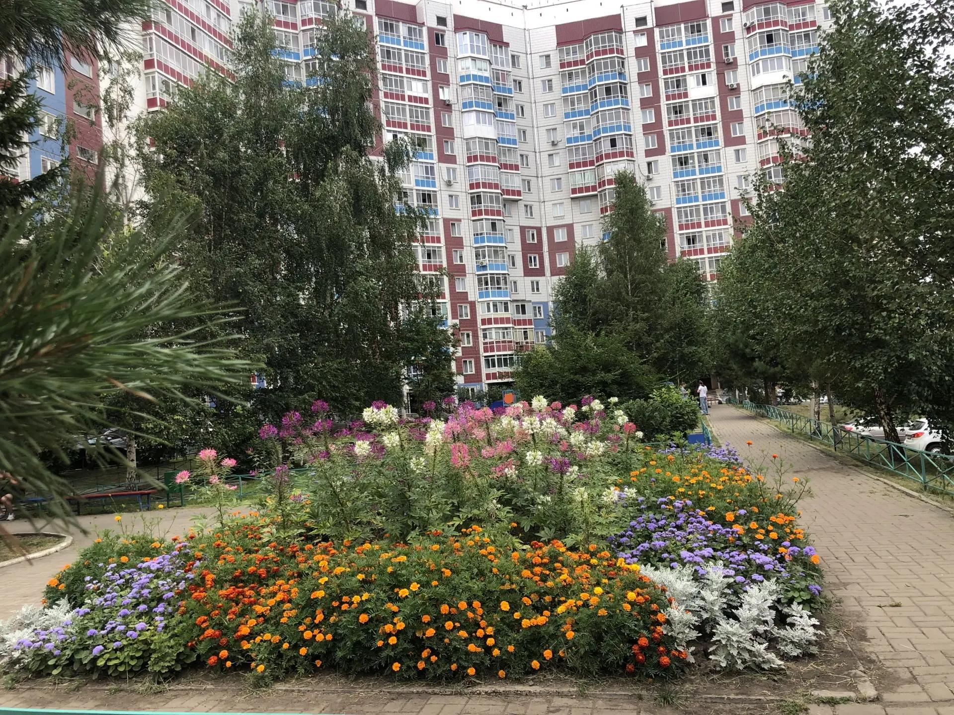 Цветник ул. Чернышевского, 110 изображение 1