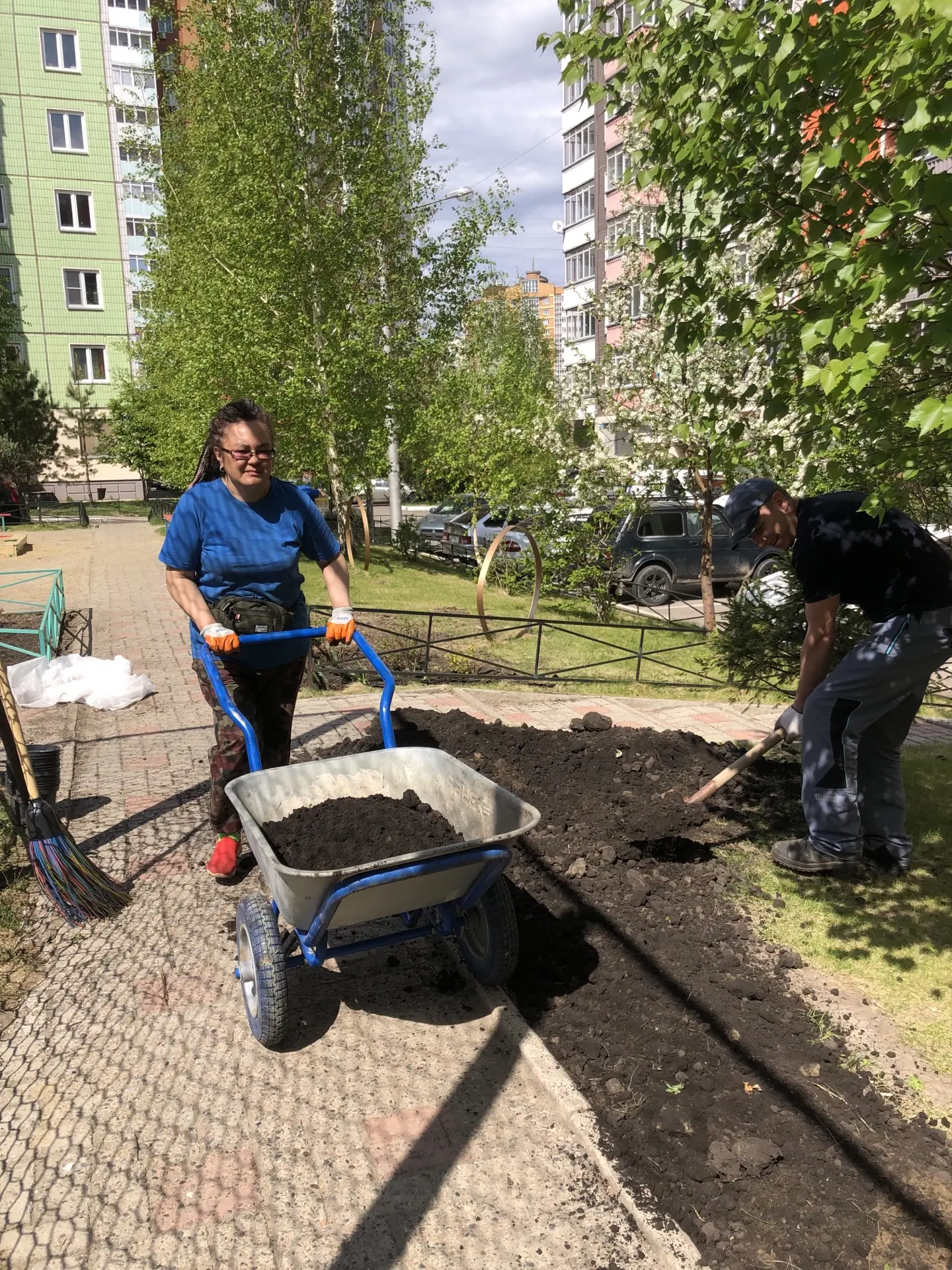 Процесс работы по озеленению ул. Чернышевского, 71 изображение 1