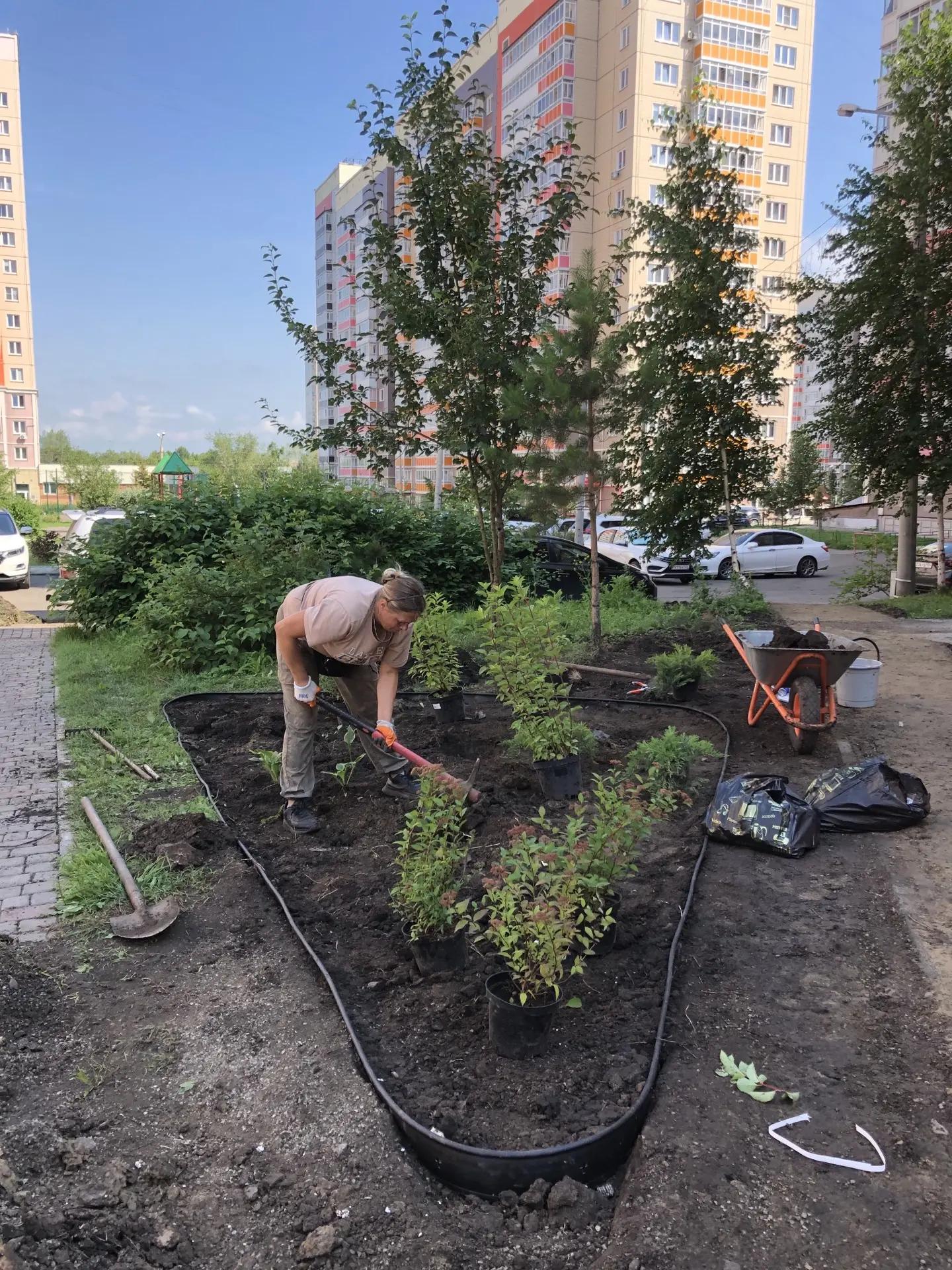 Благоустройство по ул. Чернышевского, 120 изображение 1