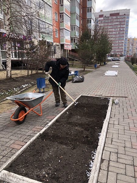 Посеяли цветы для украшения Покровки Посеяли цветы для украшения Покровки