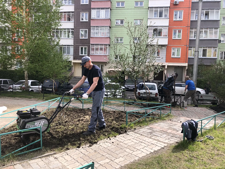 Процесс работы по озеленению ул. Чернышевского, 71