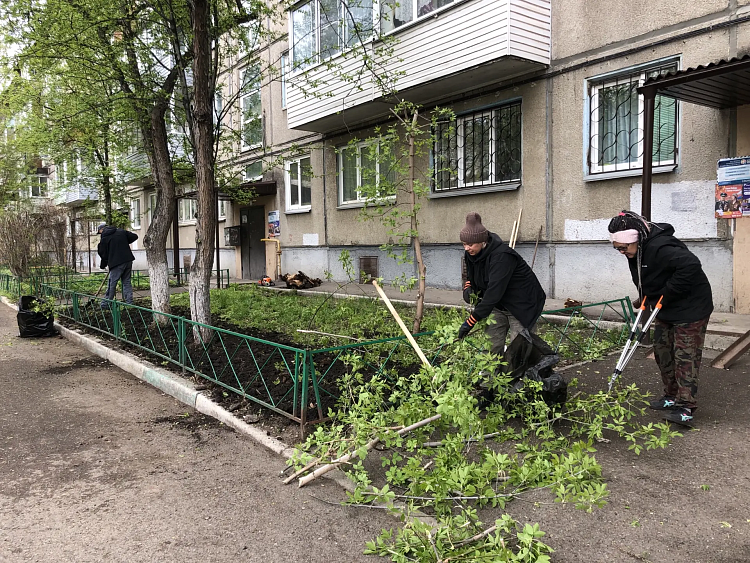 Уход за многолетниками и посев газона.