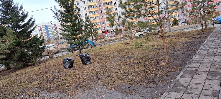 Наводим чистоту во дворах Наводим чистоту во дворах